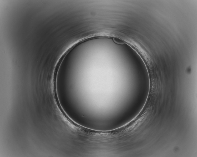 X0000097920902200803211524