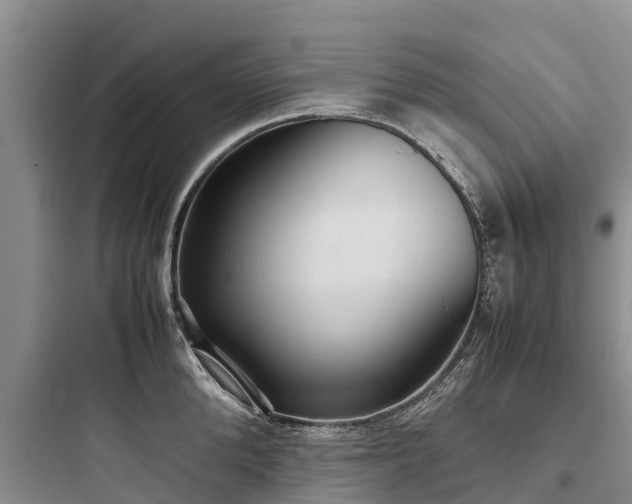 X0000097920904200803211524