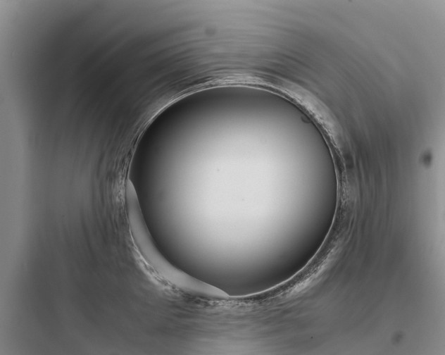 X0000097920905200803211524