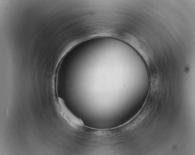 X0000097920906200803211524