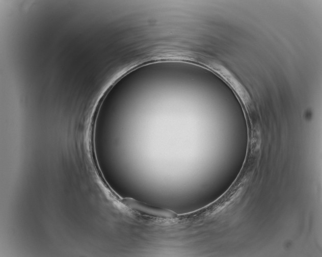 X0000097920909200803211524