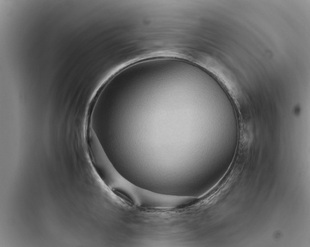 X0000097920910200803211524