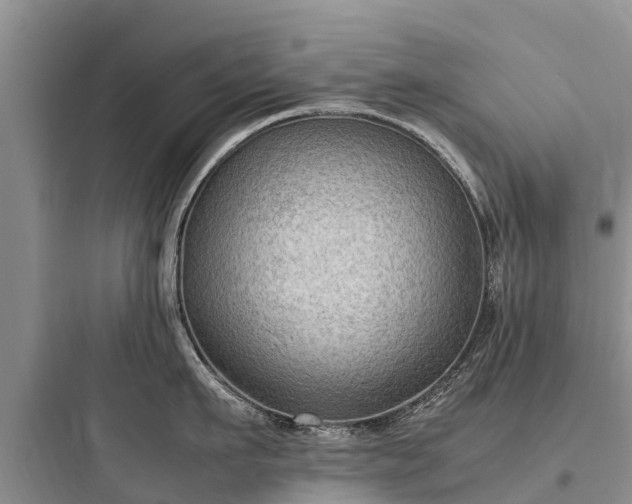 X0000097920911200803211524