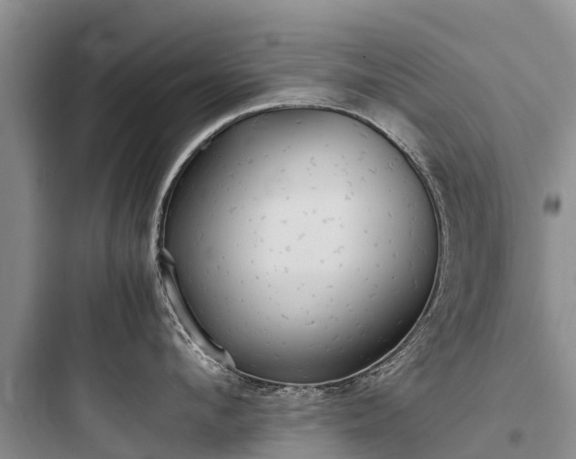X0000097920912200803211524