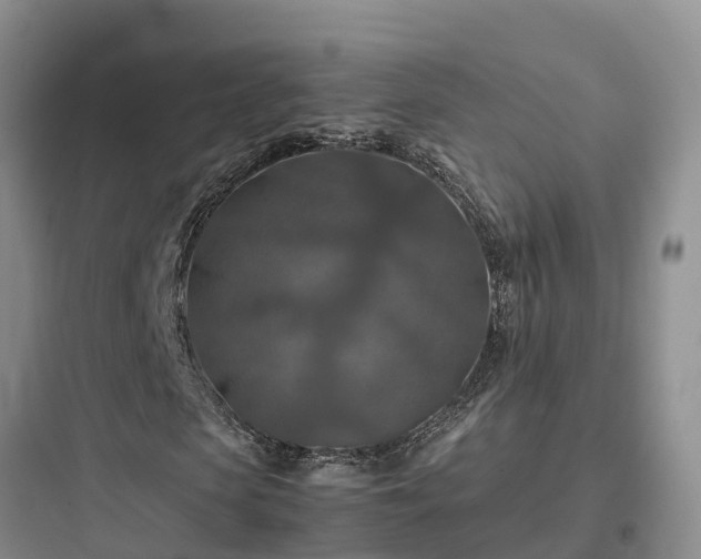 X0000097920913200803211524