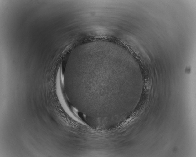 X0000097920916200803211524