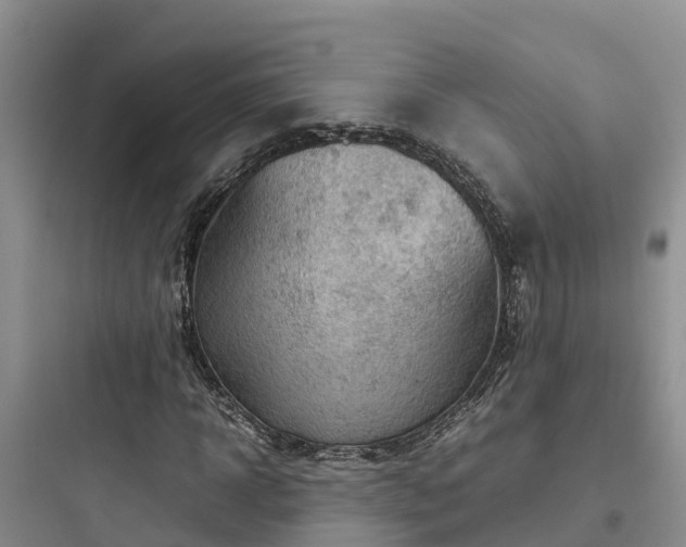 X0000097920918200803211524