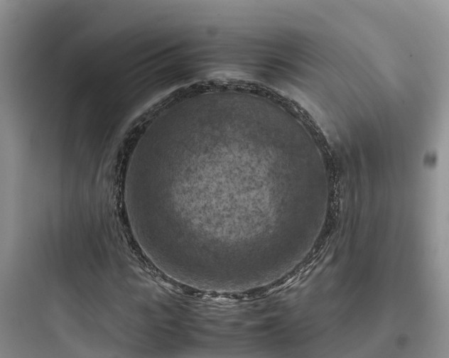 X0000097920919200803211524
