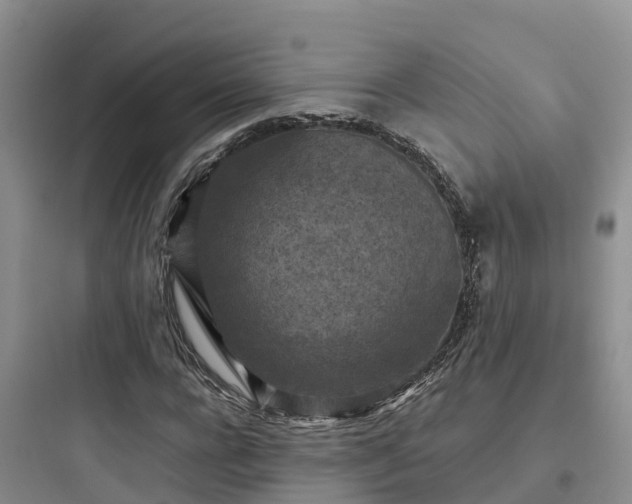 X0000097920920200803211524