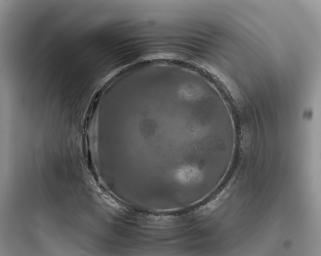 X0000097920921200803211524