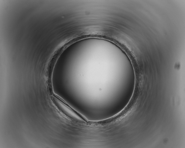 X0000097920922200803211524