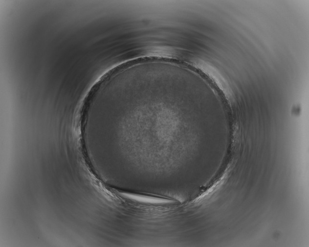 X0000097920923200803211524