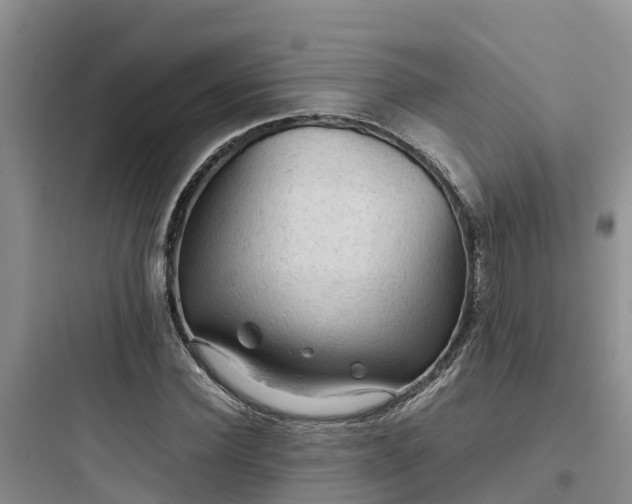 X0000097920924200803211524