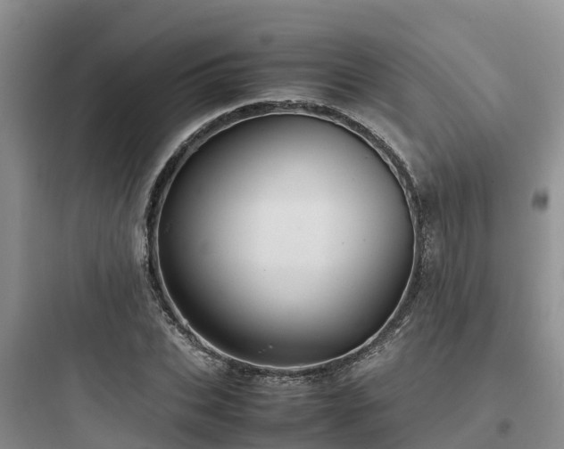 X0000097920927200803211524