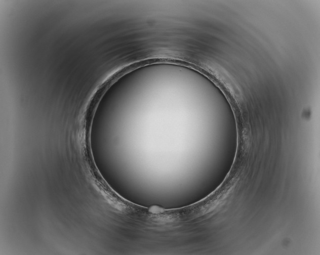 X0000097920931200803211524