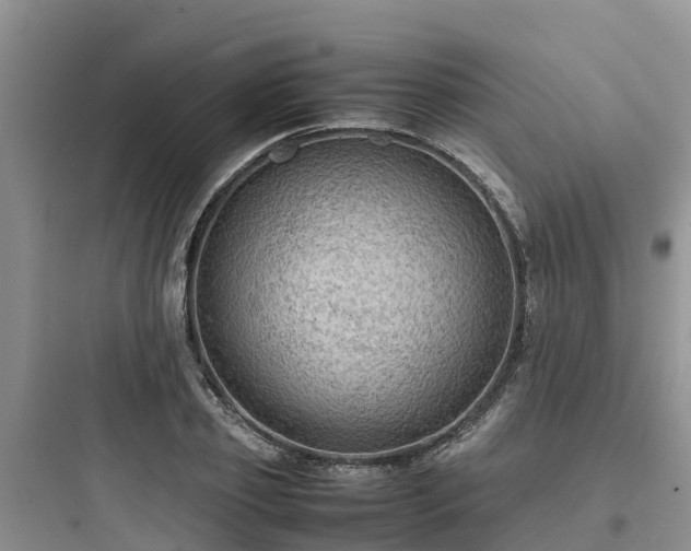 X0000097920933200803211524