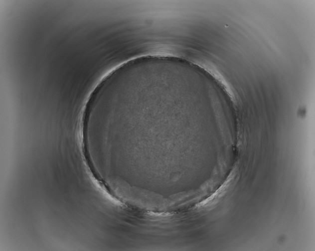 X0000097920935200803211524