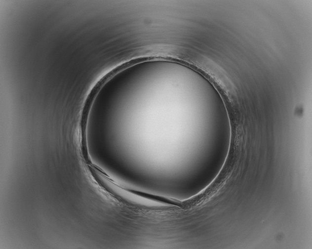 X0000097920936200803211524