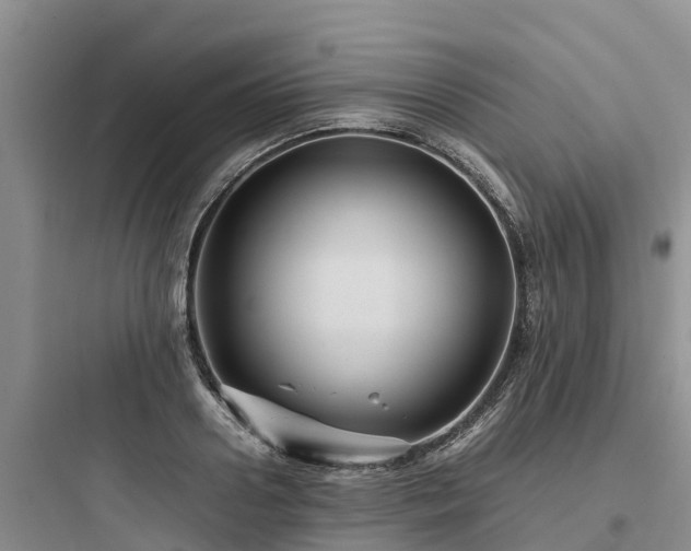 X0000097920938200803211524