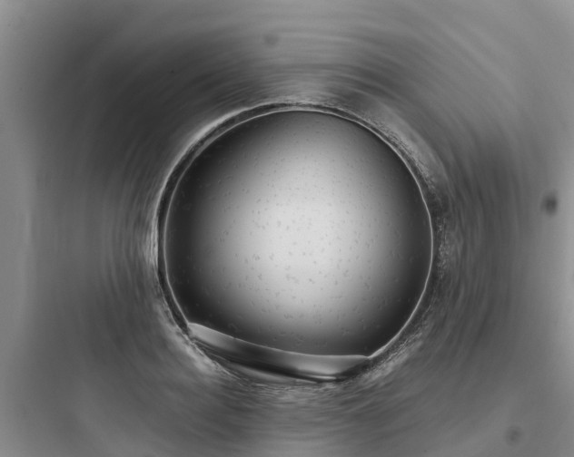 X0000097920940200803211524