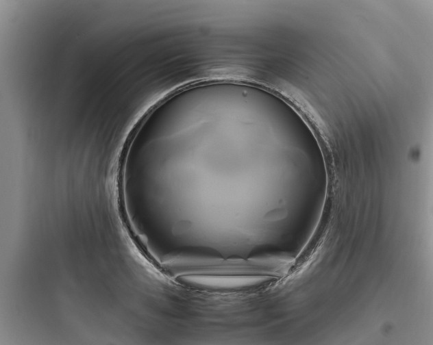 X0000097920941200803211524
