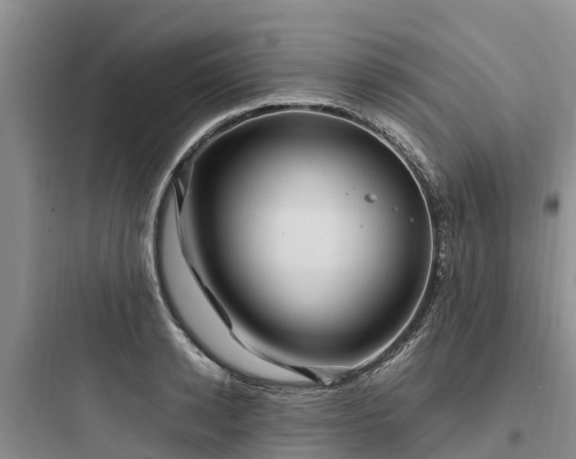 X0000097920942200803211524