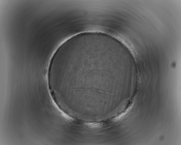 X0000097920943200803211524