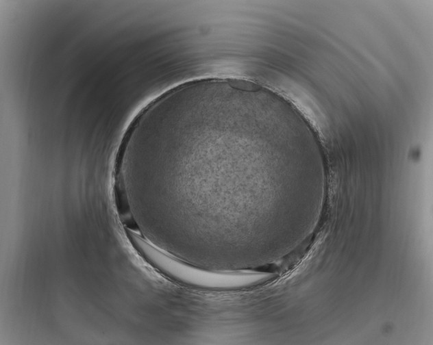 X0000097920944200803211524