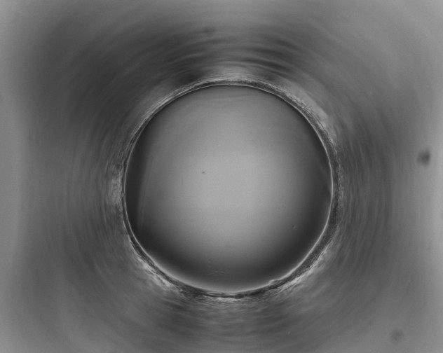 X0000097920945200803211524