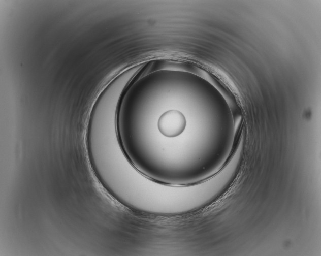 X0000097920946200803211524