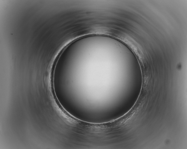 X0000097920947200803211524