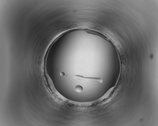 X0000097920948200803211524