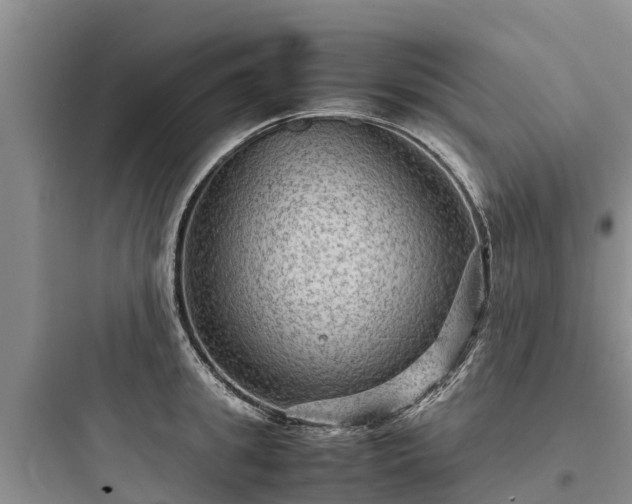 X0000097920949200803211524