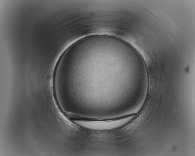 X0000097920951200803211524