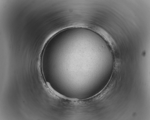 X0000097920952200803211524