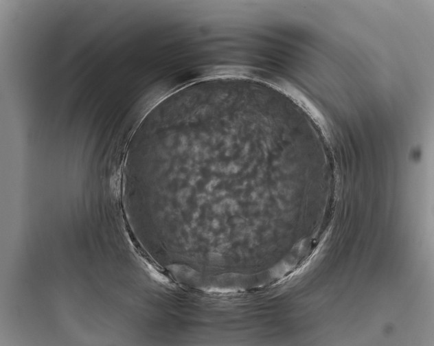 X0000097920953200803211524