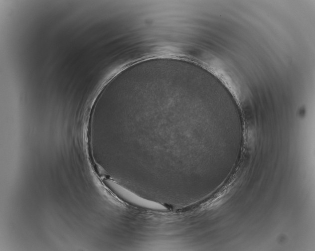 X0000097920954200803211524