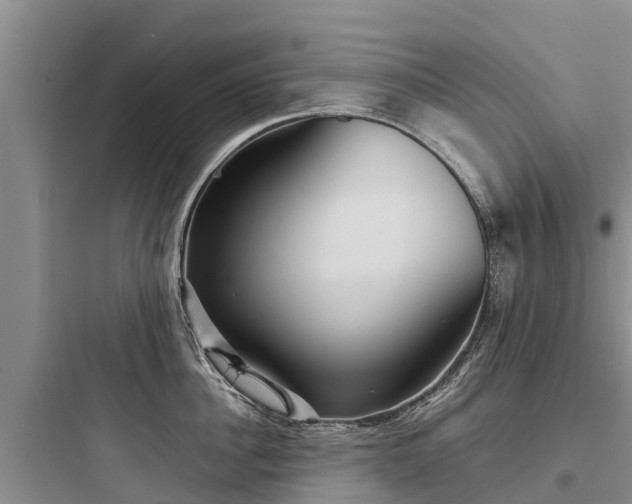 X0000097920956200803211524