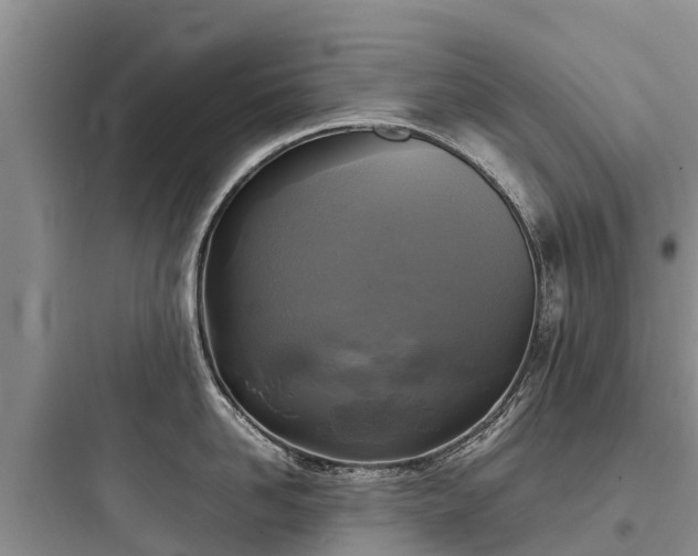 X0000097920958200803211524