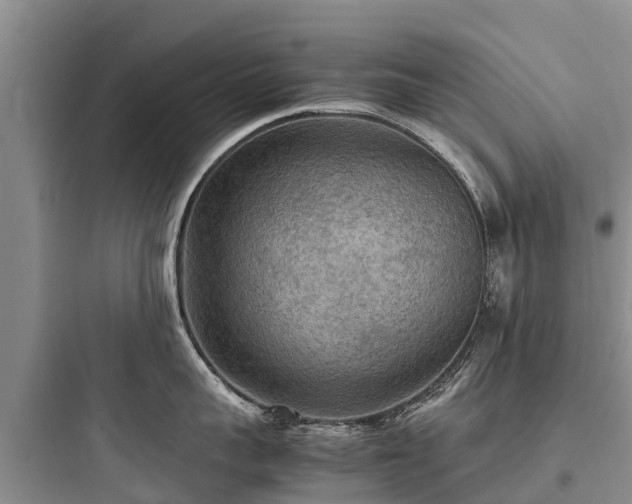 X0000097920959200803211524