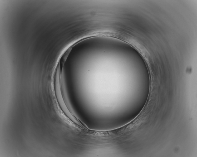 X0000097920960200803211524