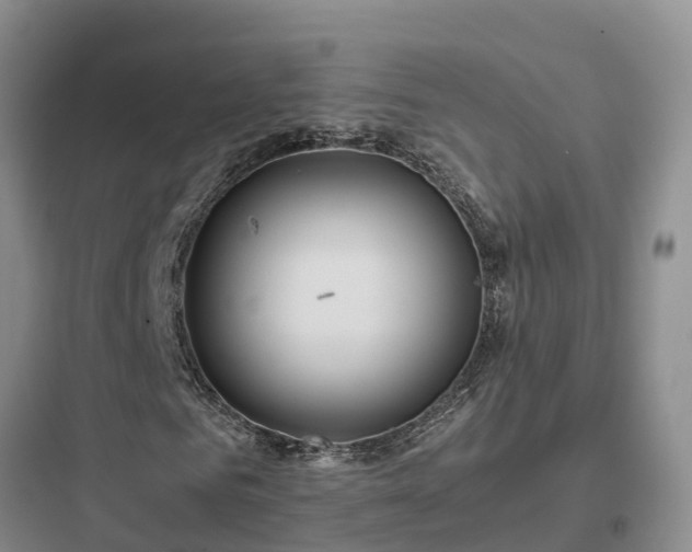X0000097920961200803211524