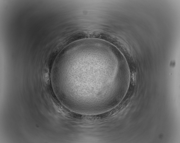 X0000097920963200803211524