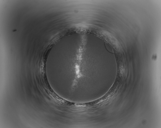 X0000097920964200803211524