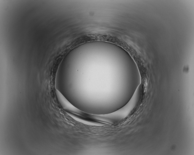 X0000097920965200803211524