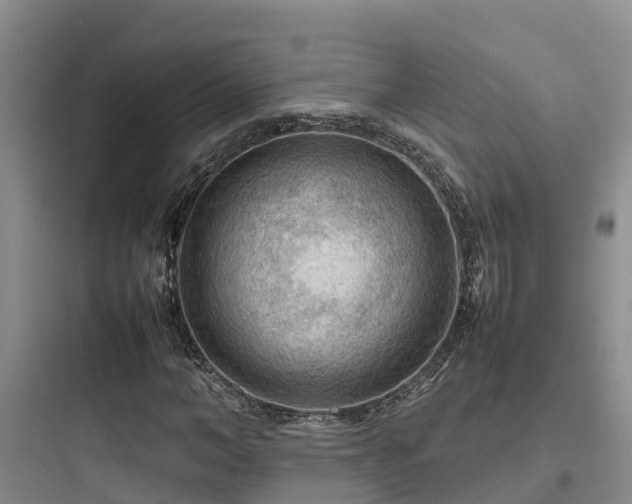 X0000097920966200803211524