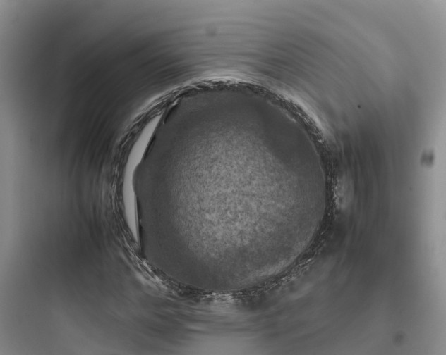 X0000097920968200803211524
