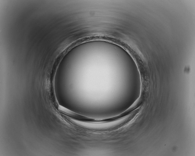 X0000097920969200803211524