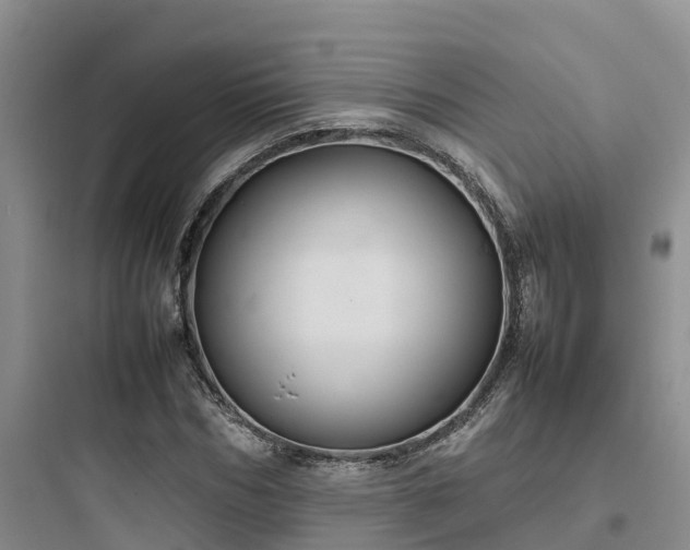 X0000097920970200803211524