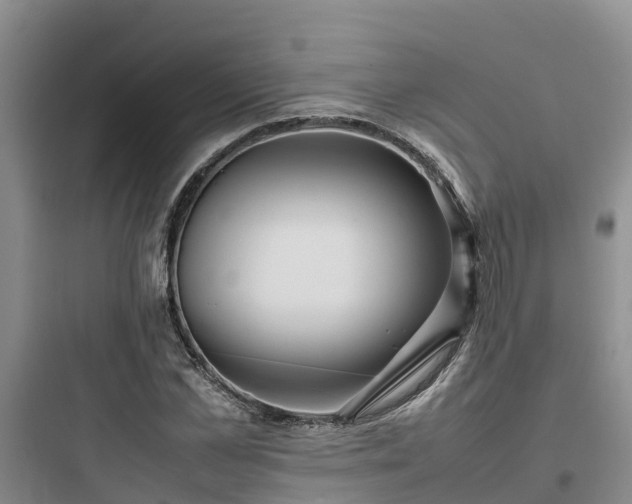 X0000097920973200803211523